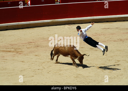 Recoupeuses' contest (pour aller sur les taureaux) dans les arènes de Pampelune, Navarre, Espagne. Banque D'Images