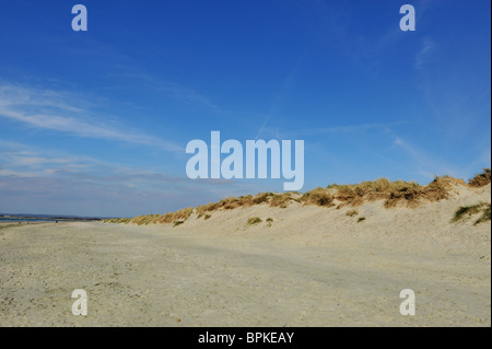 West Wittering dunes de sable à la plage avec ciel bleu Banque D'Images