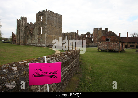 Ruban Rose 'à pied' Cowdray Castle House Midhurst, Sussex de l'Ouest 2010 Banque D'Images