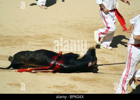 Retirer le taureau avec les mulillas après la corrida, sanfermines de 2009, Pampelune, Navarre, Espagne. Banque D'Images