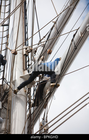 Les marins et les participants travaillant le gréement et voiles à la course des grands voiliers 2010 à Hartlepool, Cleveland Banque D'Images