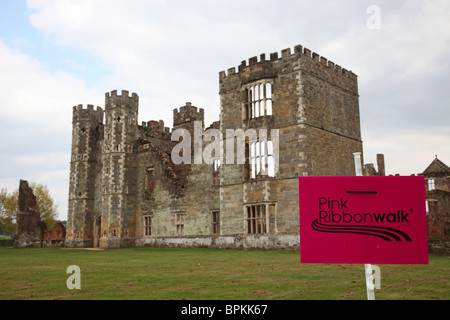 'Ruban Rose' à pied château cowdray Banque D'Images