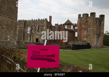 Ruban Rose 'à pied' Cowdray Castle House Midhurst, Sussex de l'Ouest 2010 Banque D'Images