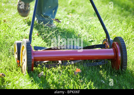 Couper l'herbe avec une tondeuse à gazon. Banque D'Images