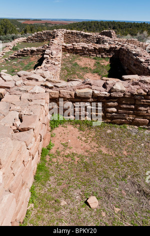 Lowry Pueblo ruins, Canyons of the Ancients National Monument au nord-ouest de Cortez, Colorado. Banque D'Images