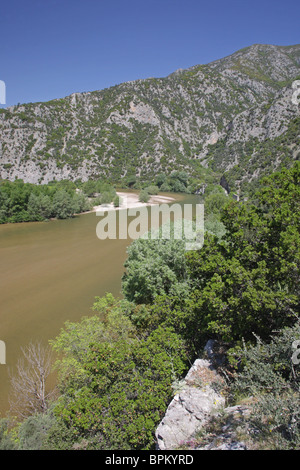 Rivière Nestos, zone protégée "eanders de rivière Nestos', Grèce du Nord Banque D'Images