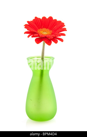 Gerber rouge unique dans vase en verre vert Banque D'Images
