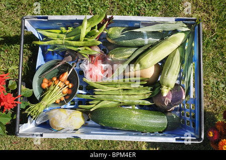 Veg fort - John Gollop Banque D'Images