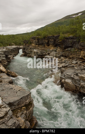 Abisko National Park dans le nord de la Suède. Abiskojakka River. Banque D'Images