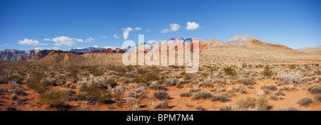 Large panorama de Red Rock Canyon au Nevada Banque D'Images