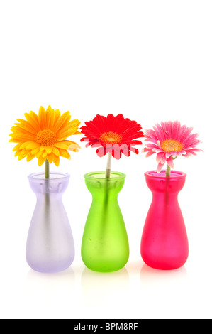 Rangée de fleurs colorées dans peu Gerber vases en verre Banque D'Images