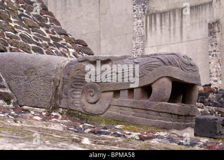 Tête de serpent à plumes la sculpture à l'Aztec ruins du Templo Mayor ou grand temple au centre-ville de Mexico Banque D'Images