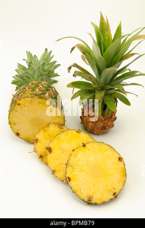 Ananas (Ananas comosus). Saisie normale et en tranches de fruits ensemble mini ananas, studio photo sur un fond blanc. Banque D'Images
