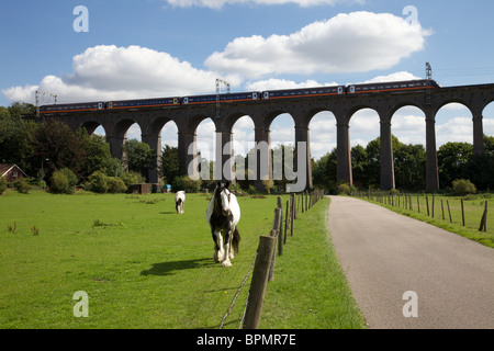 En Viaduc Welwyn Hertfordshire, Angleterre Banque D'Images