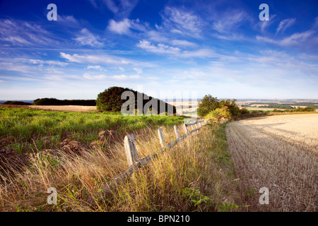 Une vieille clôture en bois et un champ de chaume surplombant la vallée de la rivière Ancholme in rural North Lincolnshire, Angleterre Banque D'Images