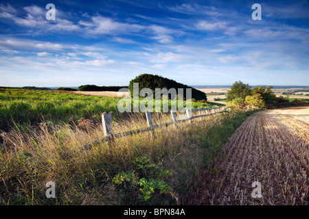 Une vieille clôture en bois et un champ de chaume surplombant la vallée de la rivière Ancholme in rural North Lincolnshire, Angleterre Banque D'Images