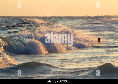 Surfez à l'heure du coucher du soleil pendant les plages de Floride Banque D'Images