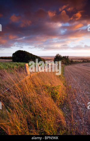 Une vieille clôture en bois et un champ de chaume surplombant la vallée de la rivière Ancholme in rural North Lincolnshire, Angleterre Banque D'Images