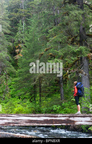Randonnée sur le sentier de la résurrection, de l'Alaska, la Forêt Nationale de Chugach. Banque D'Images