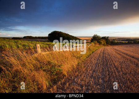 Une vieille clôture en bois et un champ de chaume surplombant la vallée de la rivière Ancholme in rural North Lincolnshire, Angleterre Banque D'Images