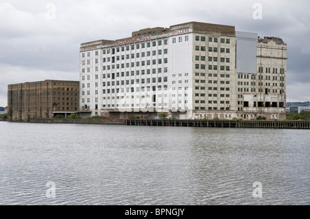 Spillers Millenium Mills (friches), Royal Victoria Dock, London, Royaume-Uni Banque D'Images