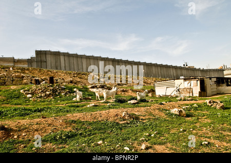 Des bédouins locaux vivent par la barrière construire acheter Israël.La barrière, Jérusalem et d'autres sujets seront abordés dans les pourparlers de paix Banque D'Images