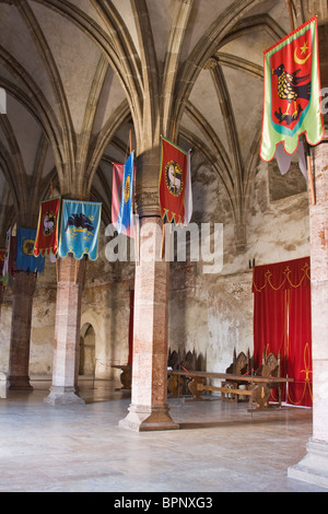 Détail de l'intérieur de l'Château Corvinesti en Hunedoara, Roumanie. Banque D'Images