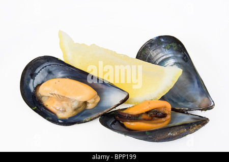 Citron et deux moules bouillies avec le persil et l'ail isolé sur fond blanc Banque D'Images