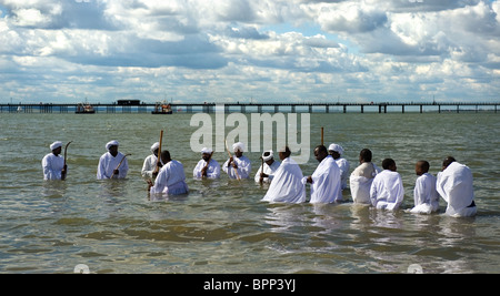 Les membres de l'Église des Apôtres de Muchinjikwa l'exécution d'un baptême dans l'estuaire de la Tamise à Southend. Banque D'Images