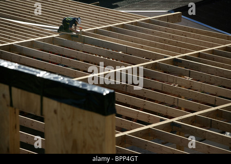 Le bois et le LVL lamibois pour NMIT Arts et médias Le nouveau bâtiment en construction, Nelson, Nouvelle-Zélande Banque D'Images