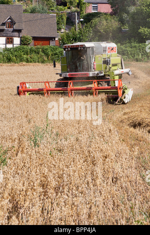 Moissonneuse batteuse récolte de l'AVOINE GLOUCESTERSHIRE ENGLANDUK Banque D'Images