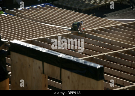 Le bois et le LVL lamibois pour NMIT Arts et médias Le nouveau bâtiment en construction, Nelson, Nouvelle-Zélande Banque D'Images