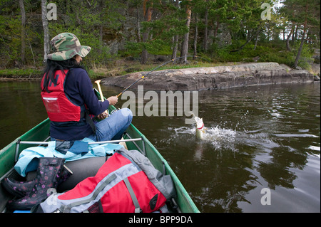 Fille avec un grand brochet, Esox lucius, pris dans le lac Vansjø en Østfold, Norvège. Vansjø est une partie de l'eau appelé système Morsavassdraget. Banque D'Images