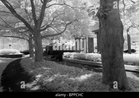 En photographiant avec lumières infrarouges ajoute un aspect 'autres' de ce monde aux scènes tous les jours. Banque D'Images