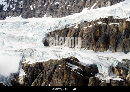 Champs de glace Columbia, glacier dans le parc national Jasper, Alberta, Canada. La glace et la neige sur les corniches rocheuses. Banque D'Images