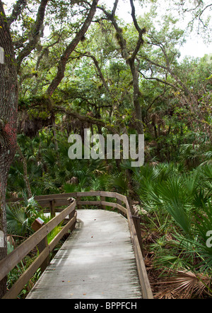 Erna Nixon hamac Nature Preserve à West Melbourne, Brevard County, en Floride. Banque D'Images