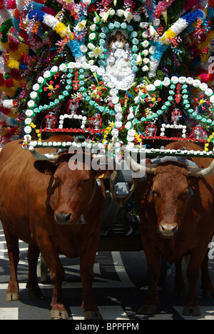 Festivités ethnographiques du Saint-Esprit / esprit dans les Açores Banque D'Images