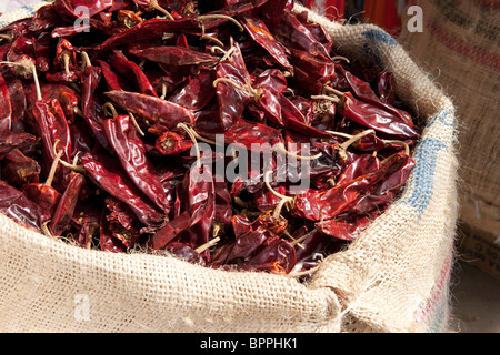 Chili En vente sur le marché, marché municipal, San Cristobal de las Casas, Chiapas, Mexique Banque D'Images