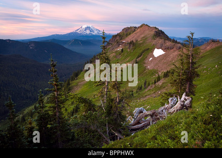 Les roches de chèvre désert en vue de Mt. Adams de Goat Ridge, Washington, USA Banque D'Images