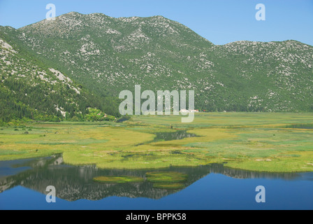 La Croatie. Une vue sur le delta de Neretva près de Ploce en Dalmatie du sud, vue de la Croatie - la frontière. Banque D'Images