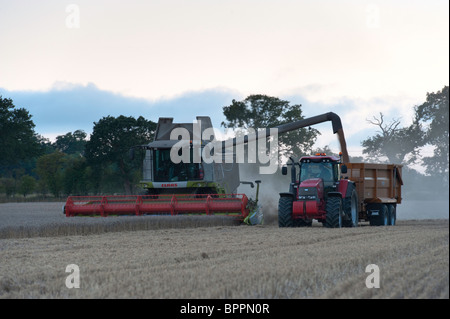 Rendmt Lexion Claas 570 + combiner travaillant dans le secteur du blé et de l'arrêt du chargement du grain dans un tracteur et remorque en attente. Banque D'Images