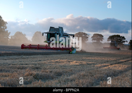 Rendmt Lexion Claas 580 + combiner travaillant dans champ de blé suivie d'une rendmt Lexion Claas 570 + moissonneuse-batteuse. Banque D'Images