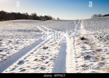 Champ couvert de neige avec empreinte de tracteur menant vers l'horizon Banque D'Images