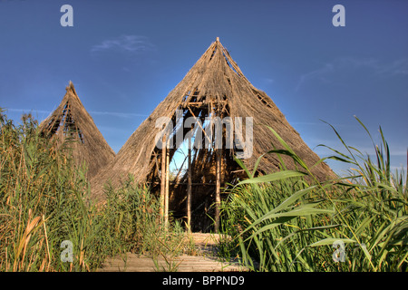 Ruines d'un village celtique au Parc Naturel de Comana, Roumanie. Banque D'Images