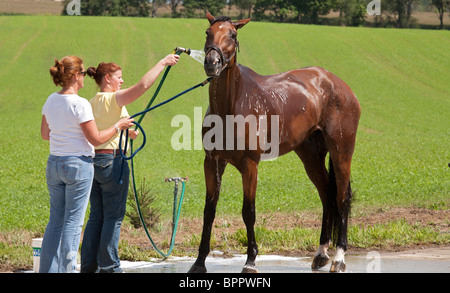 Richland Park Horse Trials Banque D'Images