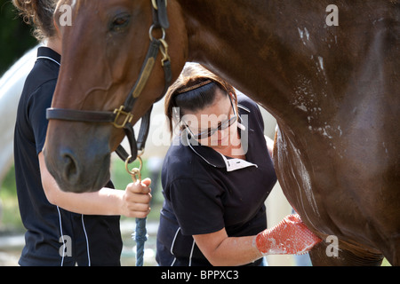 Richland Park Horse Trials Banque D'Images