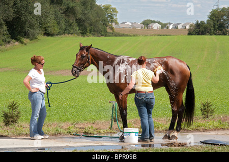 Richland Park Horse Trials Banque D'Images