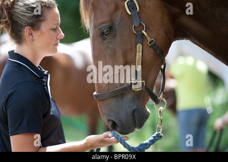 Richland Park Horse Trials Banque D'Images