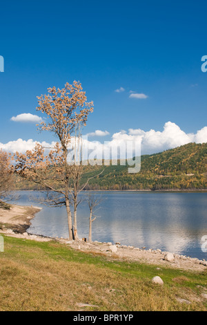 Lunca Lake dans la région Harghita, Roumanie. Banque D'Images