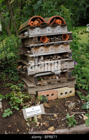 Mini bête & Bee Hotel. Banque D'Images